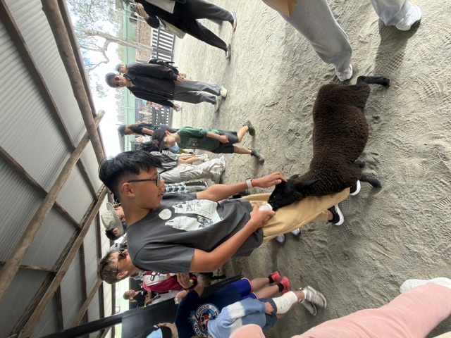 오크베일 팜 오크베일 팜